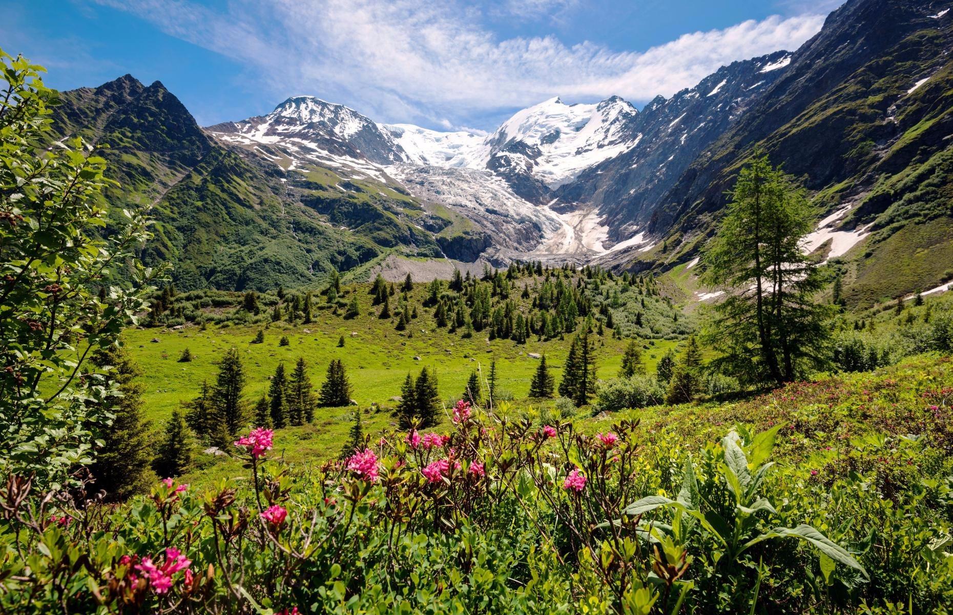 Tour du Mont Blanc